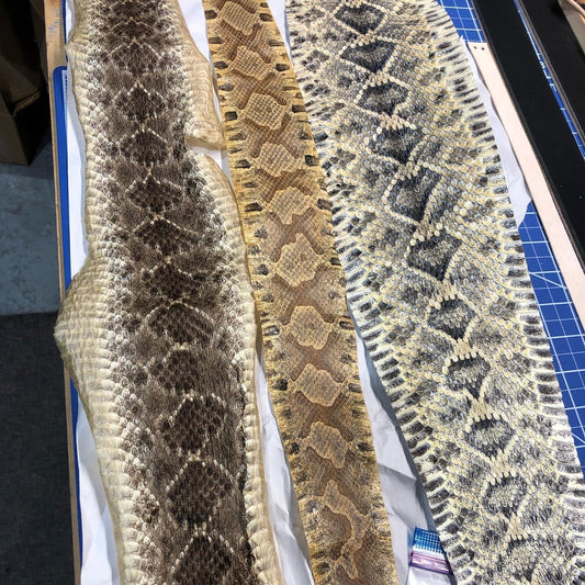 Western diamondback, copperhead, and eastern diamondback snake skins